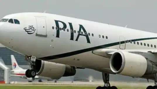 Elite Panel Formed To Supervise PIA's Privatization