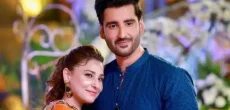 has Agha Ali Confirmed Divorce From Hina Altaf?