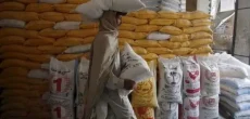 Punjab Sees Drop In 20kg Flour Cost