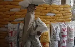 Punjab Sees Drop In 20kg Flour Cost