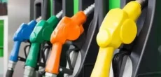 Government Keeps Petrol Price Steady, Lowers Diesel