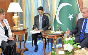 PM Shehbaz Discusses Pakistan's Economic Revival With IMF Chief