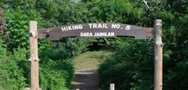 Missing Teenager Taha's Body Found On Islamabad's Trail 5