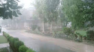 Dusty Winds And Thundershowers Expected In Punjab From May 18