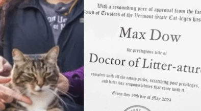 Cat Receives Honorary Doctorate From Vermont University