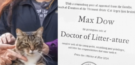 Cat Receives Honorary Doctorate From Vermont University