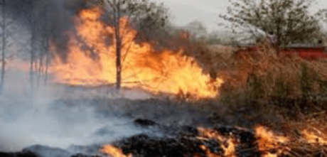 Govt Orders Investigation As Fires Erupt At 15 Sites On Margalla Hills In One Day