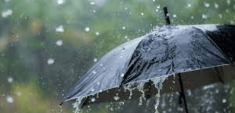 Weather Department Forecasts Rain in Punjab and KP