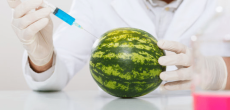 YouTuber Faces Backlash for Viral Watermelon Injection Video