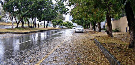 Rain, Thunderstorm Forecasted for Twin Cities Today