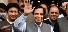 PTI President Parvez Elahi released On Bail