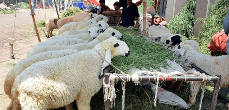 Ruet-E-Hilal Committee Forecasts Eid-Ul-Azha's Date