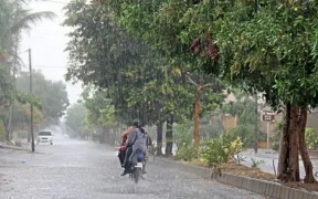 Punjab Weather Update: Rain, Hailstorms, and Strong Winds Expected This Week