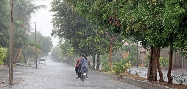 Punjab Weather Update: Rain, Hailstorms, and Strong Winds Expected This Week