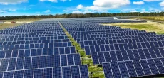 Government reverses its decision on solar panel taxes