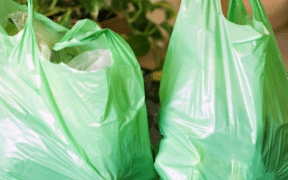 Punjab Govt Ready to Impose Total Ban On Plastic Bags