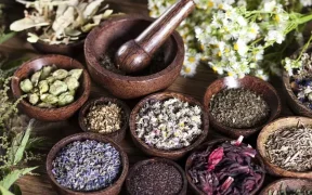 Traditional Remedies to Strengthen Immunity During Monsoon Season