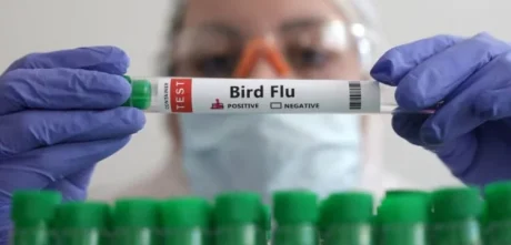 US Allocates $176 Million to Moderna for Bird Flu Vaccine Development