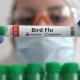 US Allocates $176 Million to Moderna for Bird Flu Vaccine Development