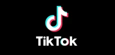 TikTok Launches Special Portal for PTA to Remove Offensive Content