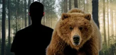 Man vs Bear: The Global Debate on Why Women Prefer Bears Over Men