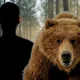 Man vs Bear: The Global Debate on Why Women Prefer Bears Over Men
