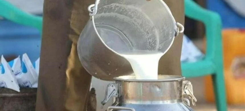 The KP Food Authority has shut down 72 dairy businesses for selling adulterated milk