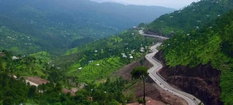 'Plant for Pakistan' initiates a tree planting campaign in Murree