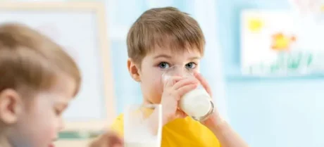 Launch of the Free Milk Program in schools postponed