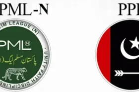 PPP engages with PML-N using a 'hybrid-sharing formula