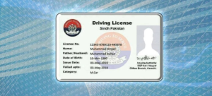 Sindh Starts Issuing International Driving Licenses from 11 Branches