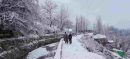 Rain and Snowfall Expected in Early January 2025, Severe Cold Wave Likely