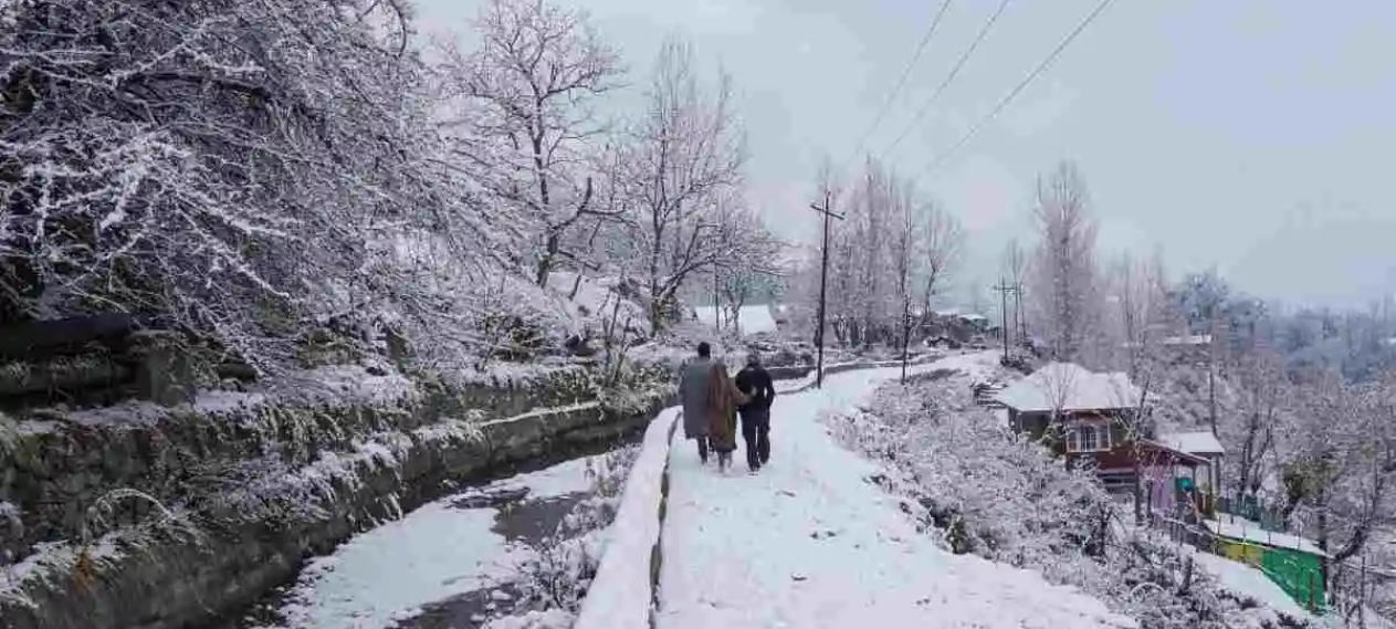 Rain and Snowfall Expected in Early January 2025, Severe Cold Wave