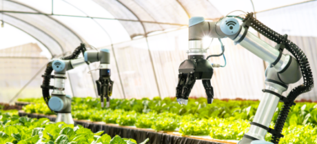 China and Pakistan Ink Agreement on AI-Powered Agricultural Technology