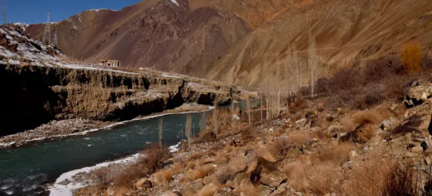 Indus River Fish A Seasonal Favorite Among Citizens During Winter