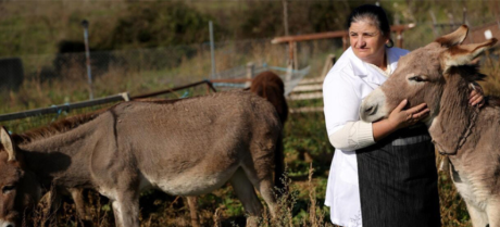 Donkey Milk and Cheese See Rising Popularity in Albania