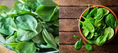 Study Finds Spinach Boosts Immunity During Winter Months