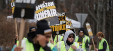 Amazon Workers Strike at Seven US Facilities Ahead of Holiday Season Rush