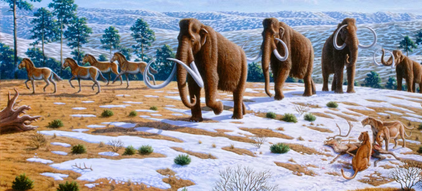 Ancient Humans in North America Depended on Mammoths for Survival