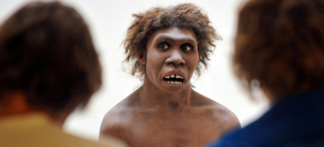 Homo Erectus Thrived in Arid Deserts Over a Million Years Ago