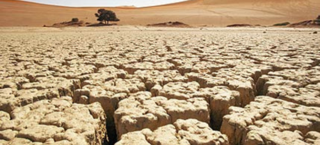 Pakistan Faces Drought Threat as Rainfall Drops by 40%