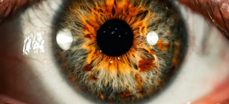 The human eye has an estimated resolution of 576 megapixels