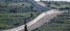 Turkiye to Build First Border Wall with Greece to Curb Migration