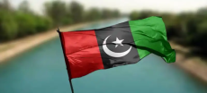 PPP Declares Province-Wide Protests in Sindh Against Indus Canal Project