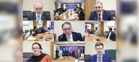 ISSI engages with delegation from Europe on global issues