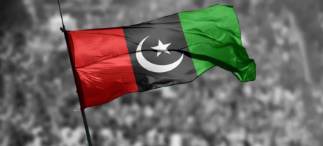 PPP's Saba Talpur Secures Victory in NA-213 Umerkot By-election