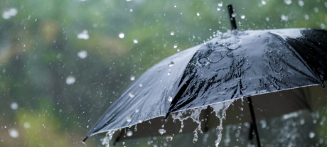 2025 Monsoon Forecast Shows Variable Rainfall Across Pakistan