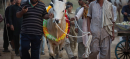 Eid ul Adha Likely to Be Celebrated on June 7 Across Pakistan