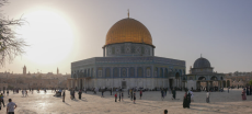 OIC Condemns Extremist Israeli Minister Ben-Gvir's Storming of the Holy Al-Aqsa Mosque