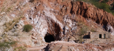 Salt Range Faces Alarming Biodiversity Decline Amid Human and Climate Pressures